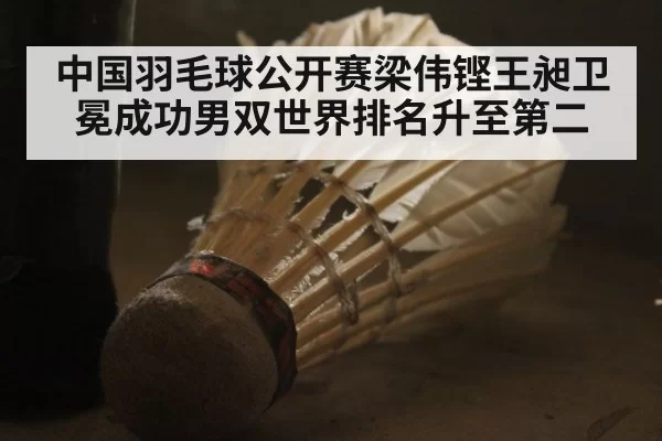 中国羽毛球公开赛梁伟铿王昶卫冕成功男双世界排名升至第二